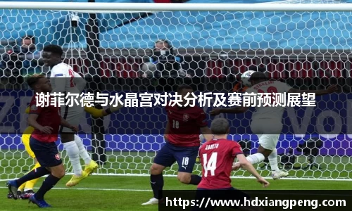 谢菲尔德与水晶宫对决分析及赛前预测展望